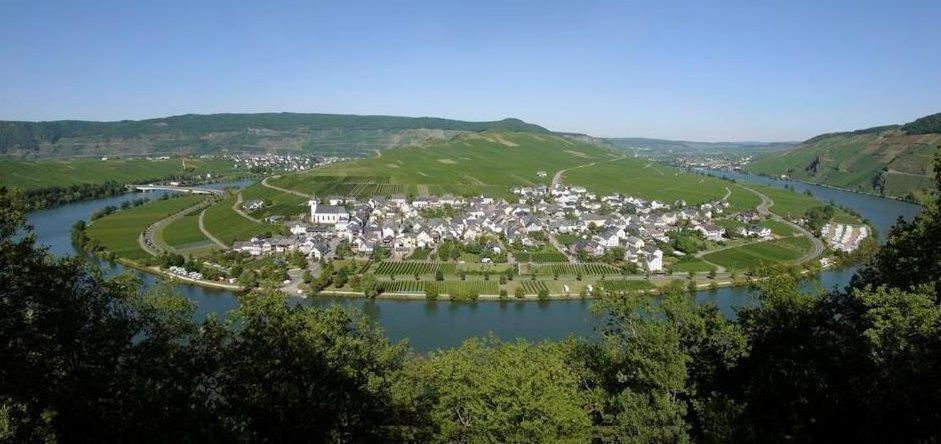 Fewo-Minheim Waltraud Und Franz Bayer Экстерьер фото